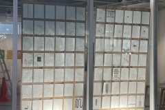 IMG_5453 IMG_5453